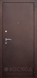 Фото стальная дверь Дверь с зеркалом и шумоизоляцией №7 с отделкой Порошковое напыление